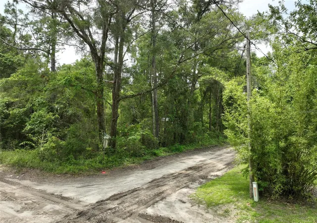 Homes for sale in Trenton, FL | (Undisclosed), Trenton, FL 32693 | MLS# O6411700