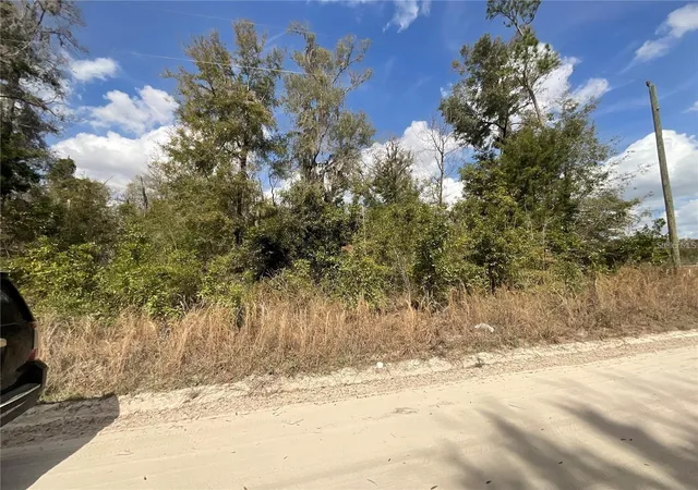 Homes for sale in Fort White, FL | Sw Old Spanish Rd, Fort White, FL 32038 | MLS# TB8513407