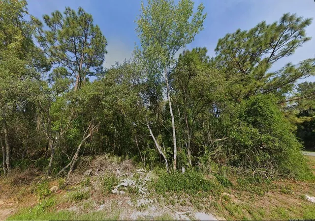 Photo 3 of Land for sale at Sw 133 Loop, Ocala, FL 34473 | MLS# G5113001 | Listing updated on 2026-08-25