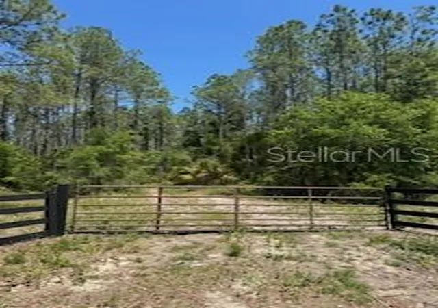 Photo 1 of Land for sale at Northeast Hwy 353, Old Town, FL 32680 | MLS# TB8513415 | Listing updated on 2026-08-11