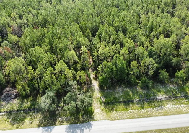 Photo 3 of Land for sale at Northeast Hwy 353, Old Town, FL 32680 | MLS# TB8513415 | Listing updated on 2026-08-11