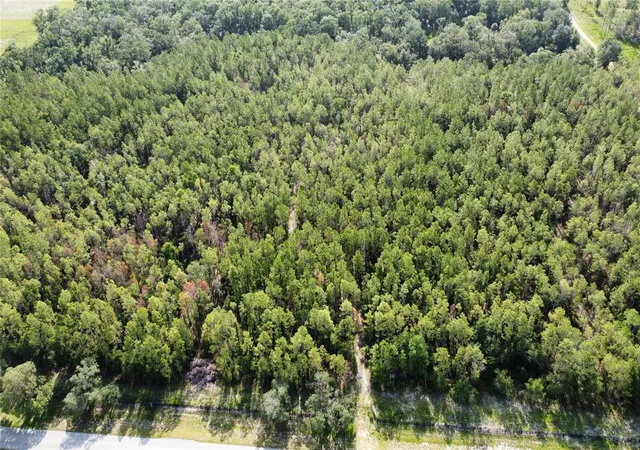 Photo 4 of Land for sale at Northeast Hwy 353, Old Town, FL 32680 | MLS# TB8513415 | Listing updated on 2026-08-11