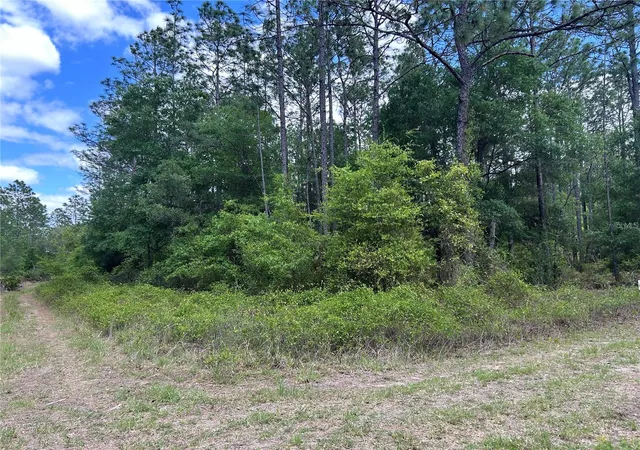 Photo 1 of Land for sale at Tbd Sw 159th Avenue, Ocala, FL 34481 | MLS# OM725596 | Listing updated on 2026-08-11