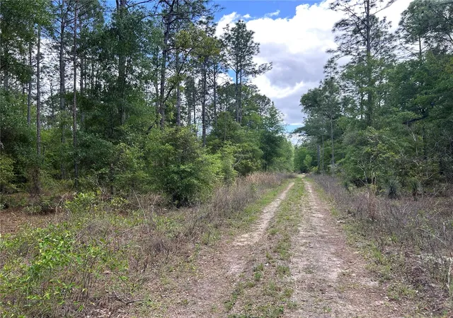 Photo 2 of Land for sale at Tbd Sw 159th Avenue, Ocala, FL 34481 | MLS# OM725596 | Listing updated on 2026-08-11