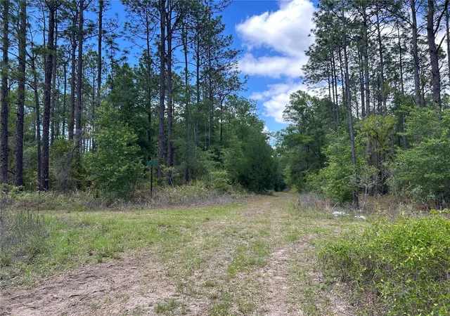 Photo 3 of Land for sale at Tbd Sw 159th Avenue, Ocala, FL 34481 | MLS# OM725596 | Listing updated on 2026-08-11