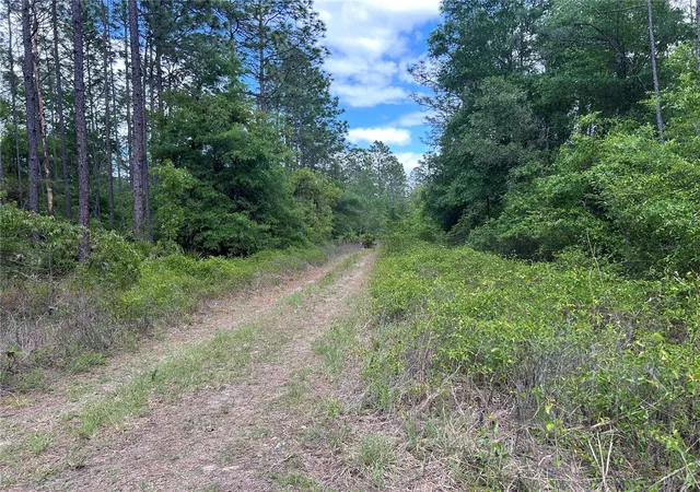 Photo 3 of Land for sale at Tbd SW 159th Avenue, Ocala, FL 34481 | MLS# OM725596 | Listing updated on 2026-08-11