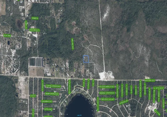 2nd image of 918 Midland Ave, Lake Placid, FL 33852 | MLS# A4695239