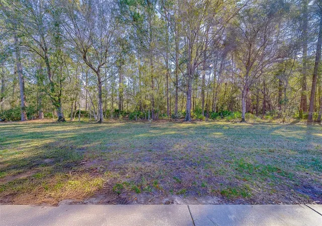 3rd image of 4405 Connery Ct, Palm Harbor, FL 34685 | MLS# TB8513521