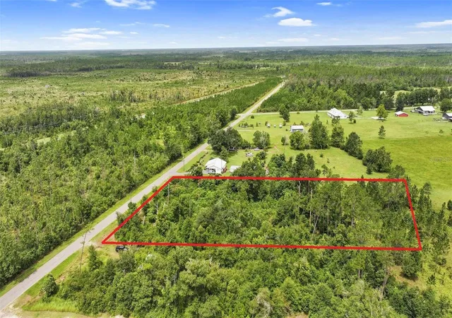 Photo 2 of Land for sale at 0 Old Panama Hwy, Wewahitchka, FL 32465 | MLS# O6411859 | Listing updated on 2026-09-19