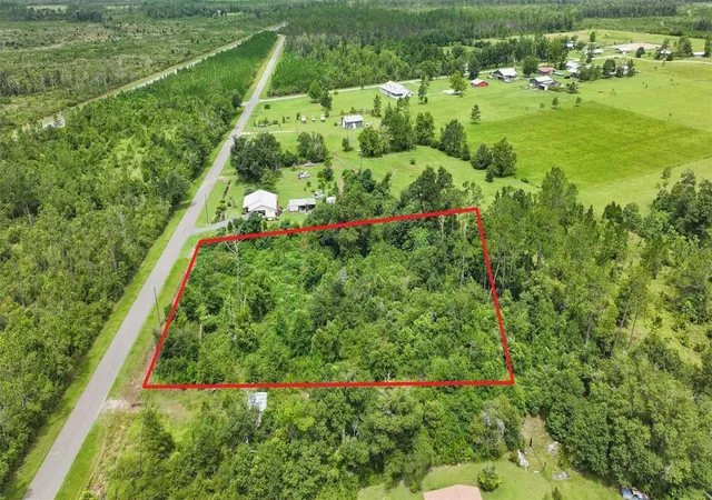 Photo 3 of Land for sale at 0 Old Panama Hwy, Wewahitchka, FL 32465 | MLS# O6411859 | Listing updated on 2026-09-19