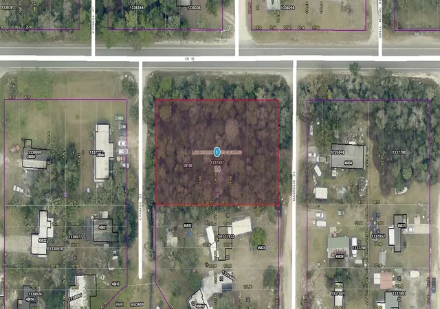 Homes for sale in Paisley, FL | 28108 County Road 42, Paisley, FL 32767 | MLS# A4695250