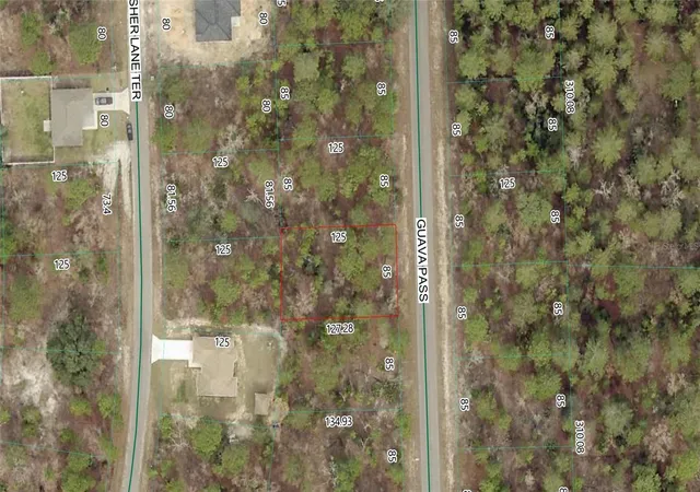 Photo 1 of Land for sale at Guava Pass Lot 10, Ocklawaha, FL 32179 | MLS# P4938852 | Listing updated on 2026-08-24