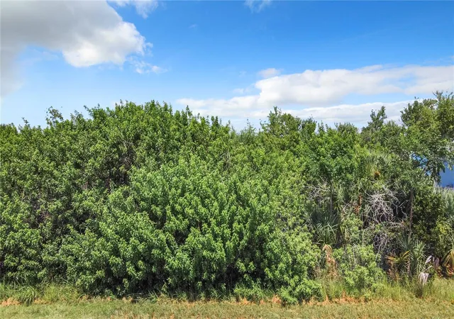 Photo 3 of Land for sale at 15419 Margo Cir, Port Charlotte, FL 33981 | MLS# C7526736 | Listing updated on 2026-10-06