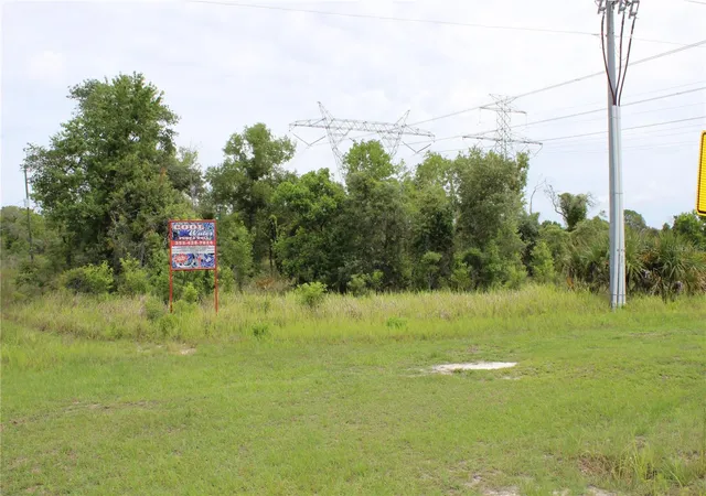 Homes for sale in Brooksville, FL | Salome St, Brooksville, FL 34614 | MLS# W7886225
