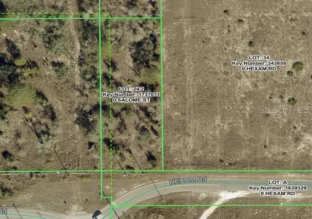 Homes for sale in Brooksville, FL | Salome St, Brooksville, FL 34614 | MLS# W7886225