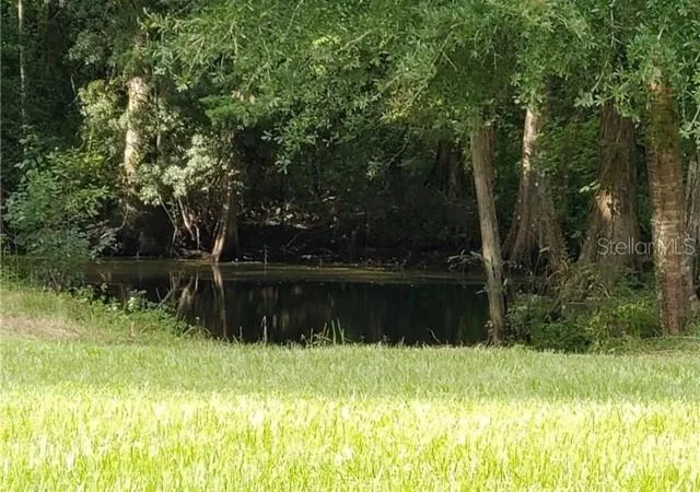 5th image of 12253 E Berry Ln, Floral City, FL 34436 | MLS# TB8513675