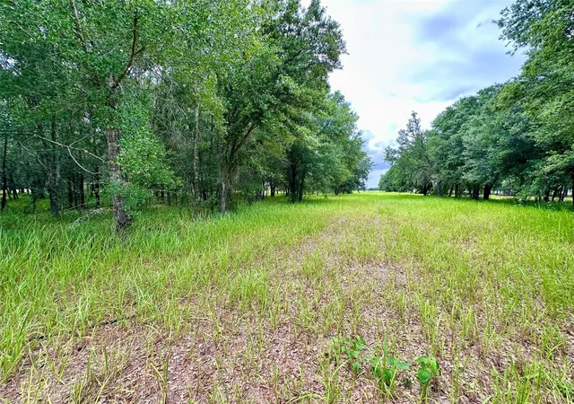 Homes for sale in Myakka City, FL | 4946 Wauchula Rd, Myakka City, FL 34251 | MLS# A4695303