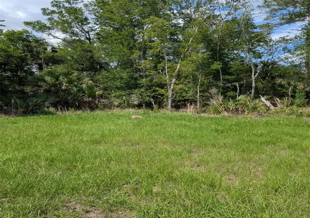 4th image of 5251 N Us Hwy 19 Hwy, Crystal River, FL 34428 | MLS# OM725673
