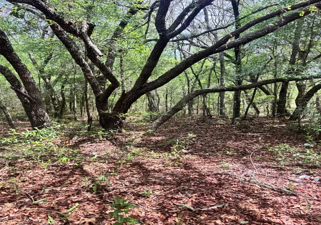 Photo 2 of Land for sale at 83rd Lane, Bronson, FL 32621 | MLS# GC540764 | Listing updated on 2026-06-01