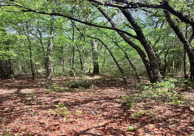 Photo 3 of Land for sale at 83rd Lane, Bronson, FL 32621 | MLS# GC540764 | Listing updated on 2026-06-01