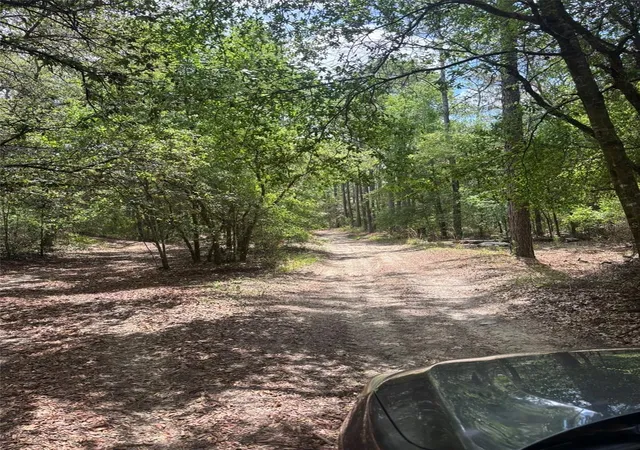 Photo 5 of Land for sale at 83rd Lane, Bronson, FL 32621 | MLS# GC540764 | Listing updated on 2026-06-01