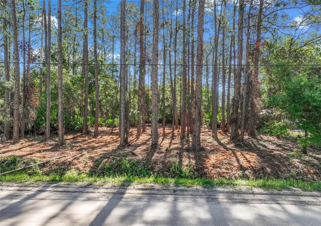 Homes for sale in Bunnell, FL | 2679 Forest Park St, Bunnell, FL 32110 | MLS# O6412122