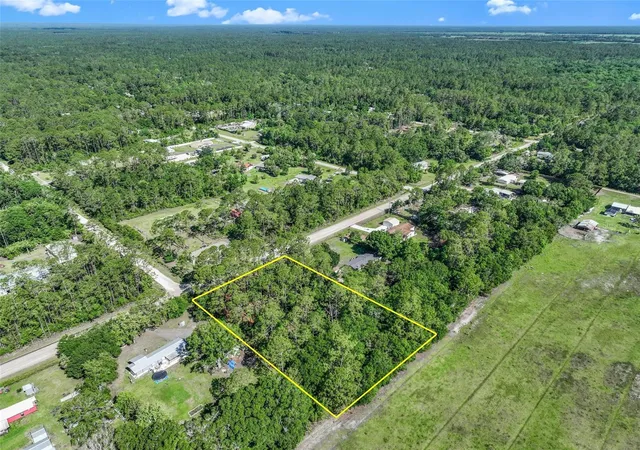 Homes for sale in Bunnell, FL | 2679 Forest Park St, Bunnell, FL 32110 | MLS# O6412122