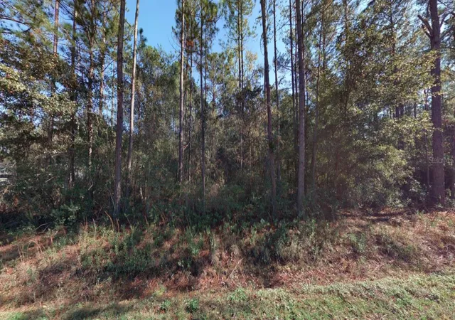 Photo 3 of Land for sale at 9910 Crotty Ave, Hastings, FL 32145 | MLS# FC318912 | Listing updated on 2026-09-27