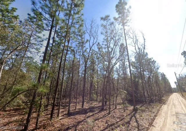 1st image of Hills Rd, Melrose, FL 32666 | MLS# A4695418