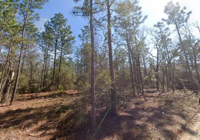 2nd image of Hills Rd, Melrose, FL 32666 | MLS# A4695418