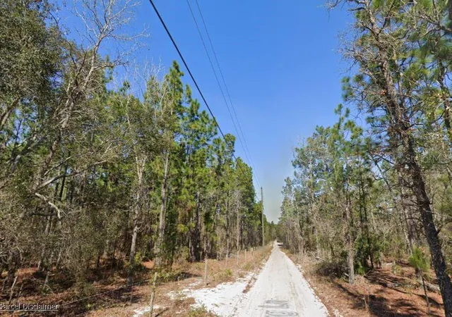 3rd image of Hills Rd, Melrose, FL 32666 | MLS# A4695418