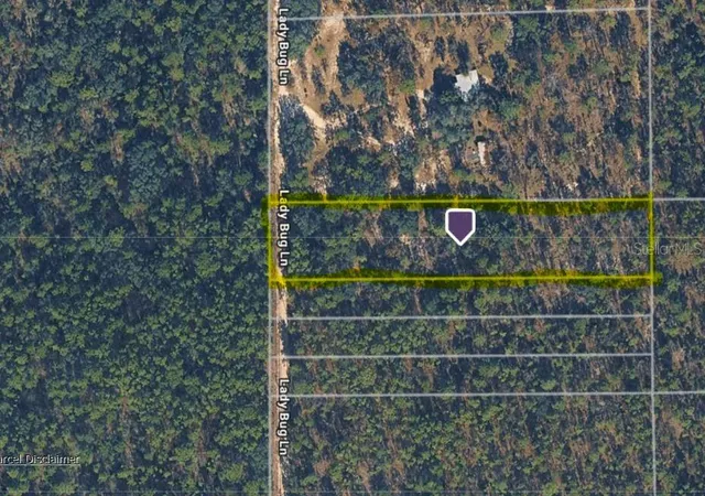 4th image of Hills Rd, Melrose, FL 32666 | MLS# A4695418
