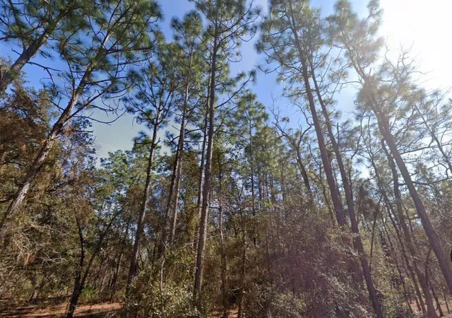 5th image of Hills Rd, Melrose, FL 32666 | MLS# A4695418