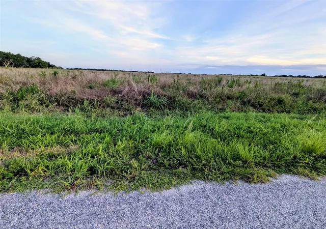 Homes for sale in Zolfo Springs, FL | Tom Bryan Rd, Zolfo Springs, FL 33890 | MLS# TB8514042