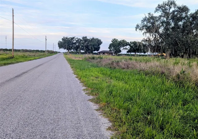 Homes for sale in Zolfo Springs, FL | Tom Bryan Rd, Zolfo Springs, FL 33890 | MLS# TB8514042
