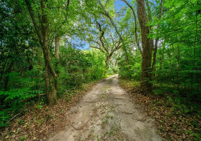 3rd image of 1985 Ne 97Th Streed Rd, Anthony, FL 32617 | MLS# OM725739