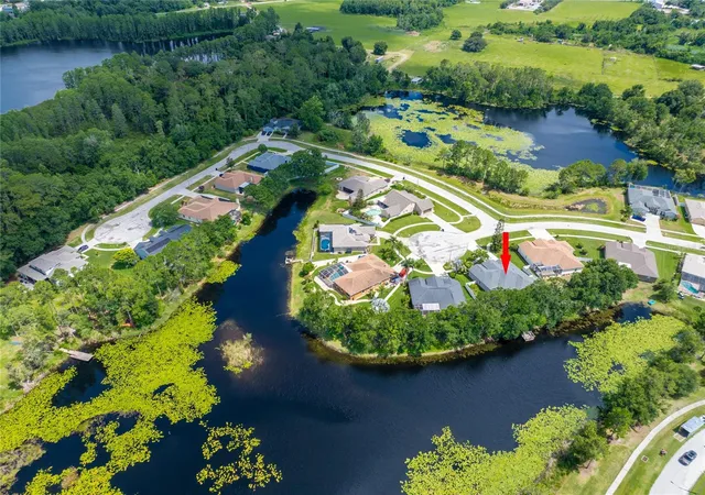 46th image of 21629 Silver Bay Pl, Land O Lakes, FL 34637 | MLS# TB8514131