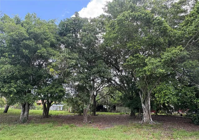 2nd image of Washington Ave, Immokalee, FL 34142 | MLS# C7526793