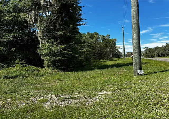 Homes for sale in Bronson, FL | Thrasher Dr, Bronson, FL 32621 | MLS# GC540791