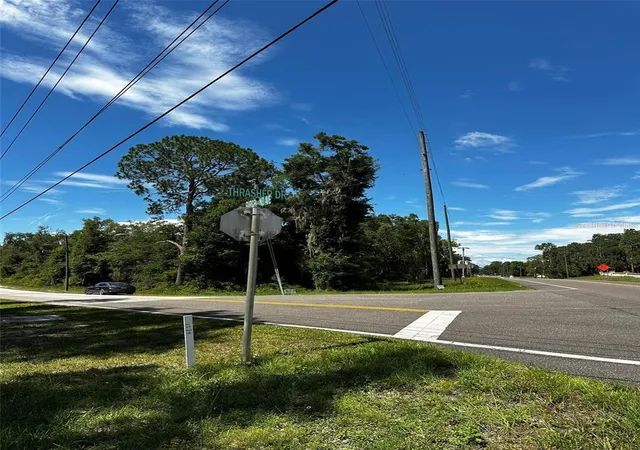 Homes for sale in Bronson, FL | Thrasher Dr, Bronson, FL 32621 | MLS# GC540791