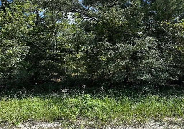 Photo 1 of Land for sale at Xx Se 21st Place, Morriston, FL 32668 | MLS# GC540792 | Listing updated on 2026-09-30