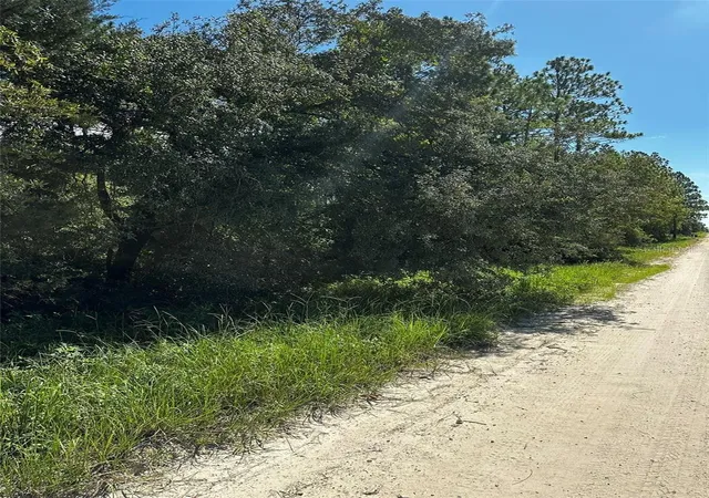Photo 2 of Land for sale at Xx Se 21st Place, Morriston, FL 32668 | MLS# GC540792 | Listing updated on 2026-09-30