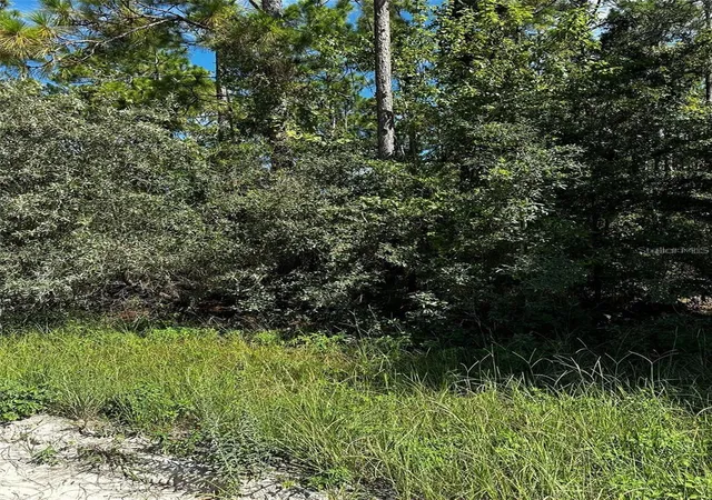 Photo 3 of Land for sale at Xx Se 21st Place, Morriston, FL 32668 | MLS# GC540792 | Listing updated on 2026-09-30