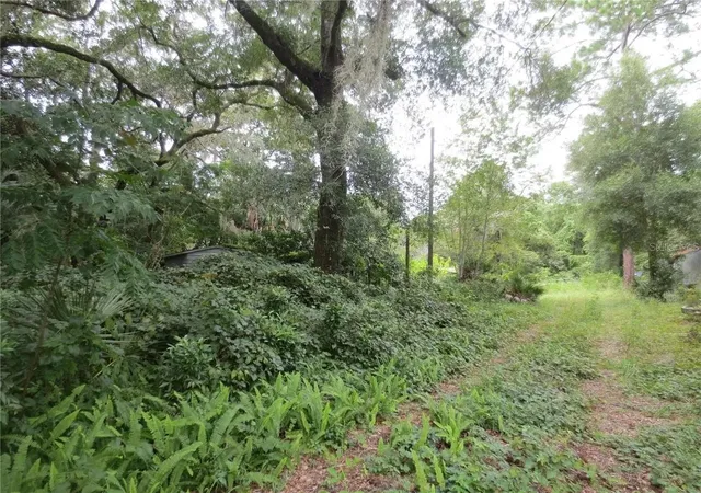 1st image of 16865 Se 3rd Pl, Silver Springs, FL 34488 | MLS# TB8514199