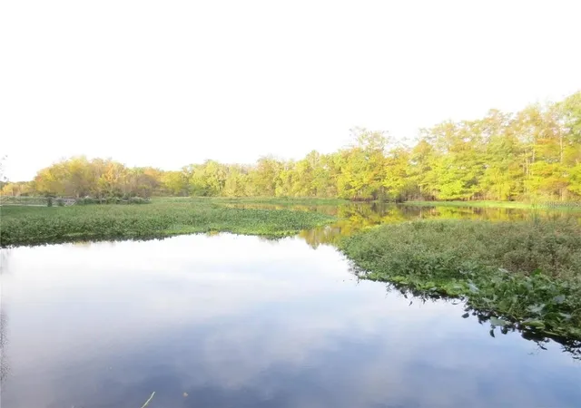 3rd image of 16865 Se 3Rd Pl, Silver Springs, FL 34488 | MLS# TB8514199