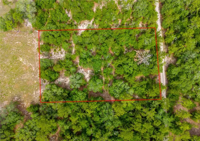 Homes for sale in Bronson, FL | 7930 Ne 121st St, Bronson, FL 32621 | MLS# GC540795
