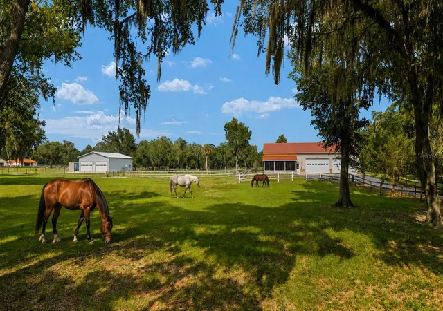 Land for sale at 2035 NW 150th Avenue, OCALA, FL 34482 | MLS# OM725757