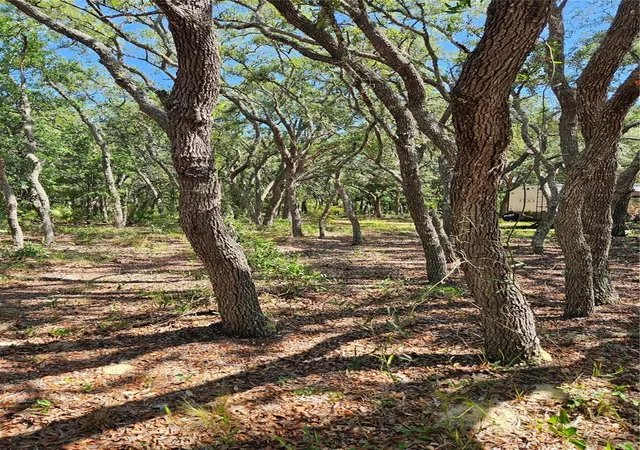 4th image of 4300 W Roadrunner Ct, Homosassa, FL 34446 | MLS# TB8514286