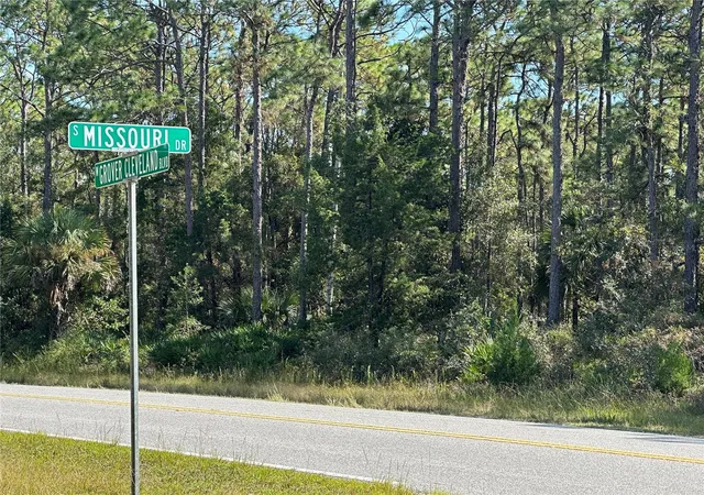 1st image of 4025 S Missouri St, Homosassa, FL 34448 | MLS# TB8514296