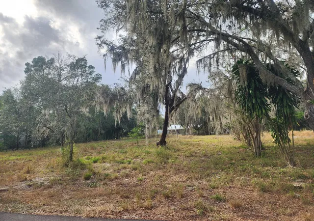 Photo 1 of Land for sale at 1409 Wilkinson Dr, Plant City, FL 33566 | MLS# TB8514377 | Listing updated on 2026-06-24